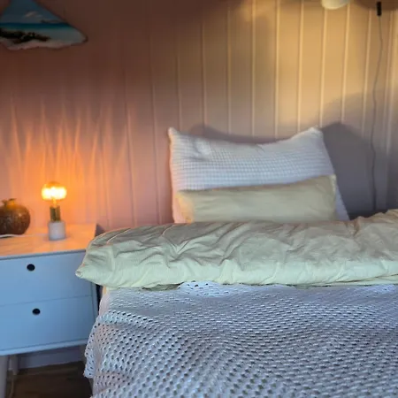 Cozy In Apartament *