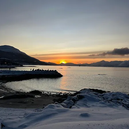 Cozy In Apartament *