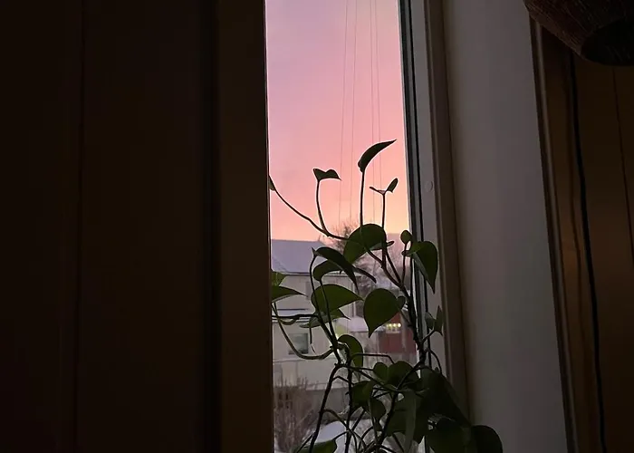 Cozy In * トロムソ