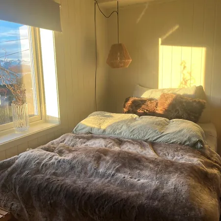 Апартаменты Cozy In